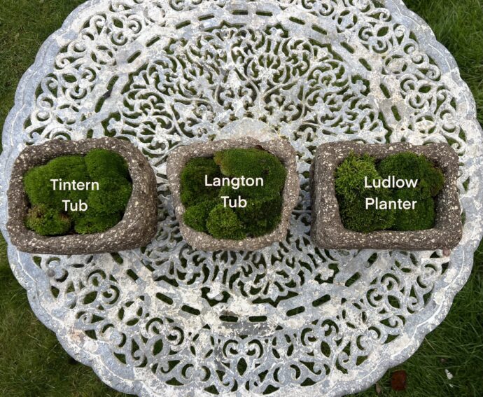 The Tintern Tub - Image 3