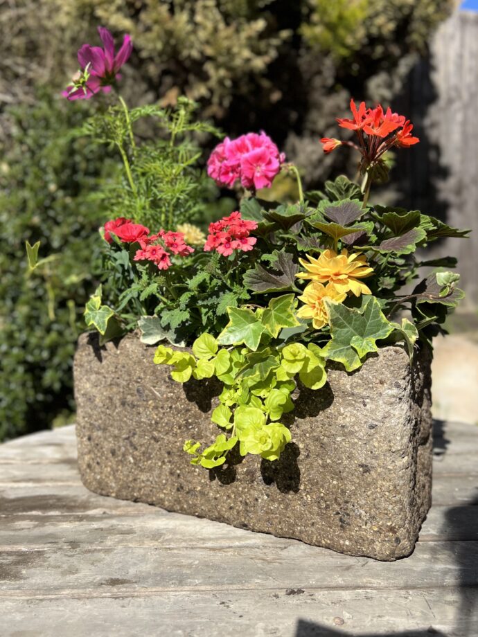 The Somerby Trough - Image 4