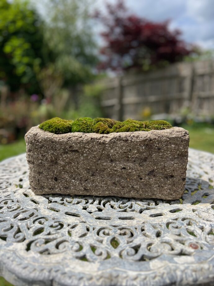 The Somerby Trough - Image 8