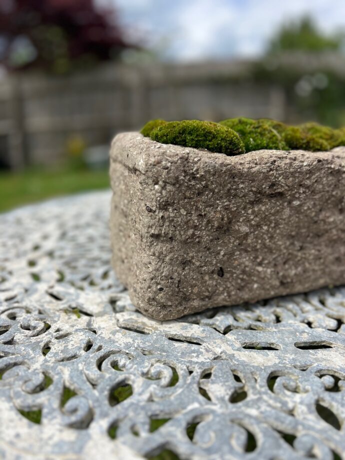 The Somerby Trough - Image 6