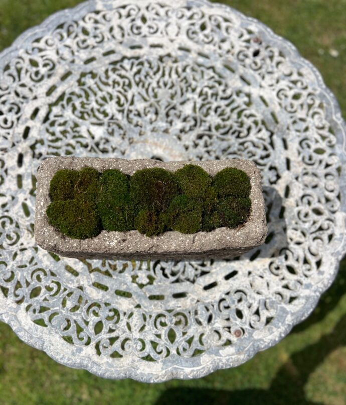 The Somerby Trough - Image 2