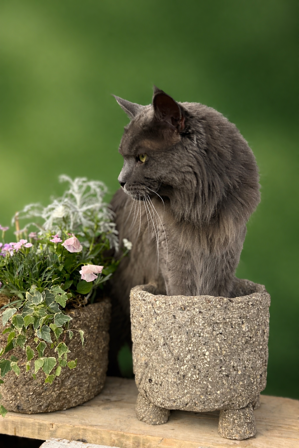 Workshop Ticket : Kelmarsh Hall & Gardens - Image 2